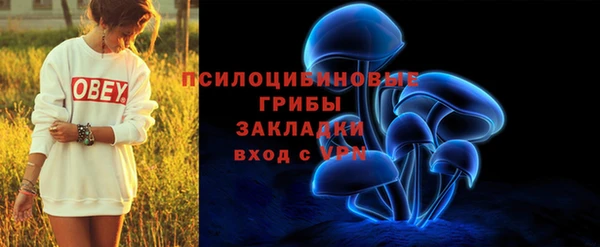 трава Алзамай