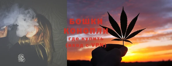 PSILOCYBIN Алексин