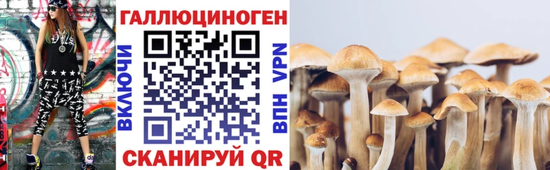 Купить где  Балашиха  Псилоцибиновые грибы Psilocybe 